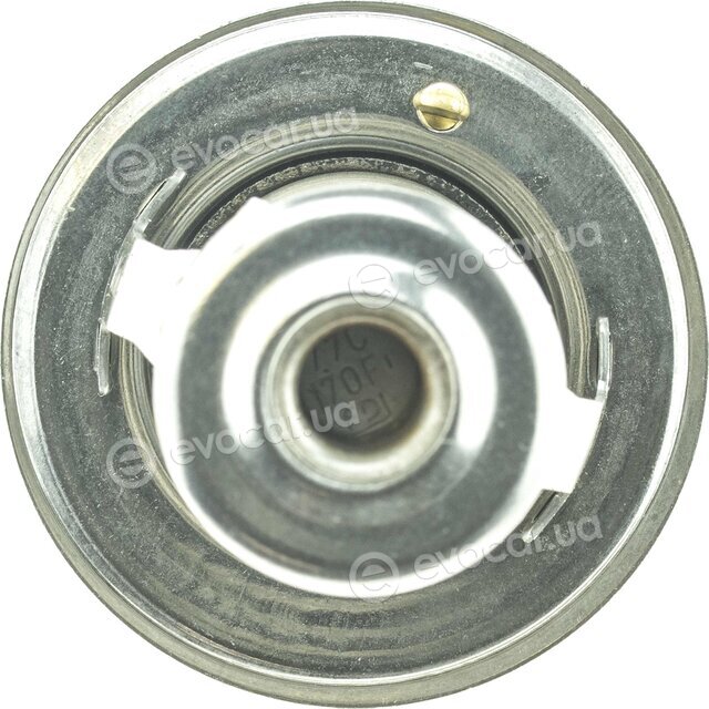 Motorad 5328-77