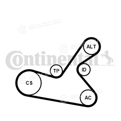 Continental 6PK1125WP1