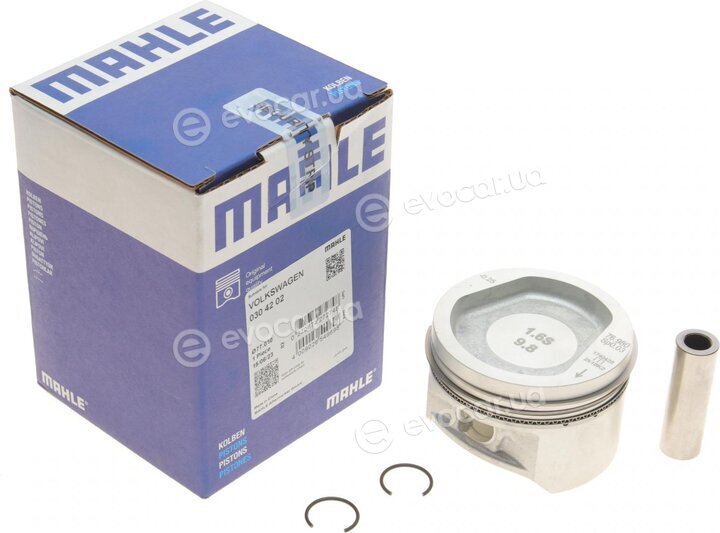 Mahle 030 42 02