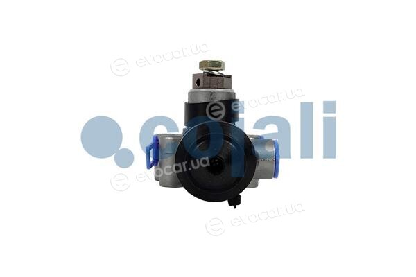 Cojali 2314303