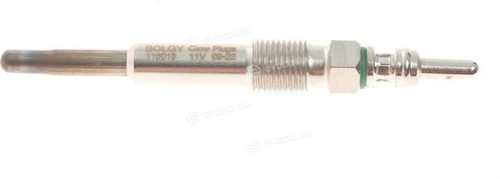 Solgy 116018