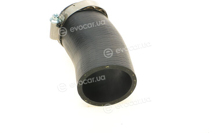 Solgy 114179