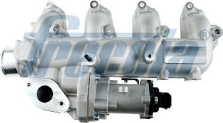 Freccia EGR12-210