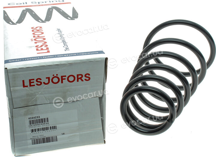 Lesjofors 4244233