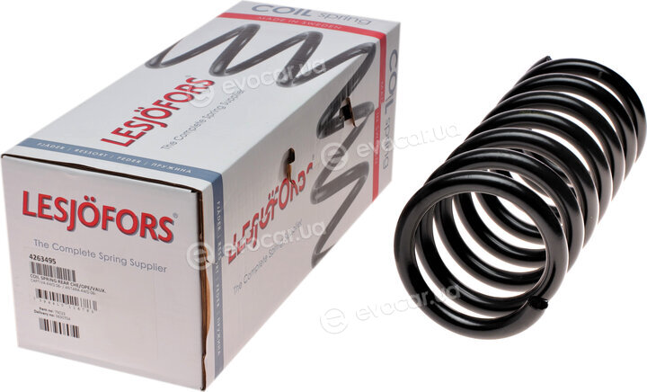 Lesjofors 4263495