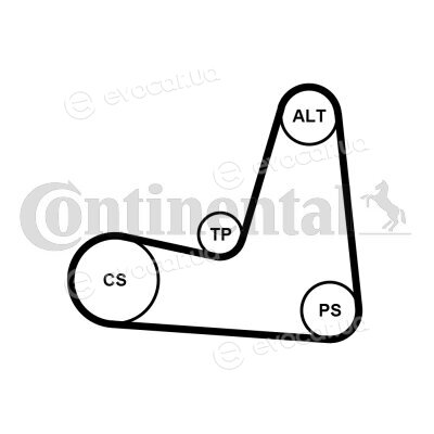 Continental 5PK1135K1