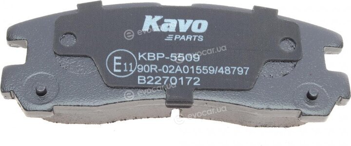 Kavo KBP-5509