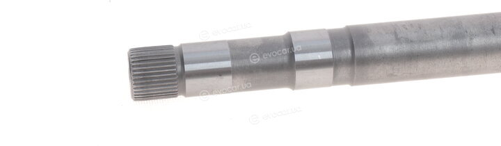 Magneti Marelli 302004190046