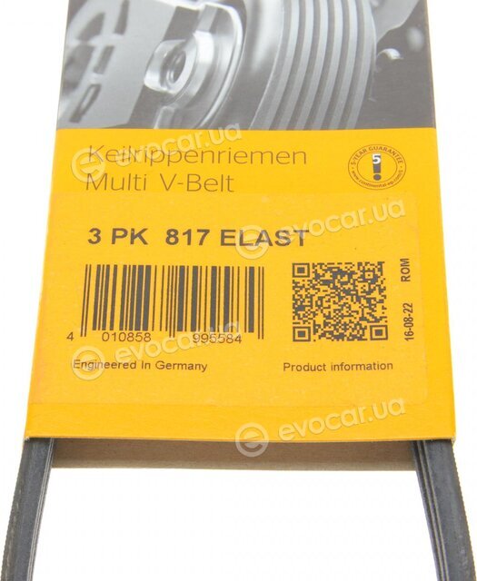 Continental 3PK817ELAST