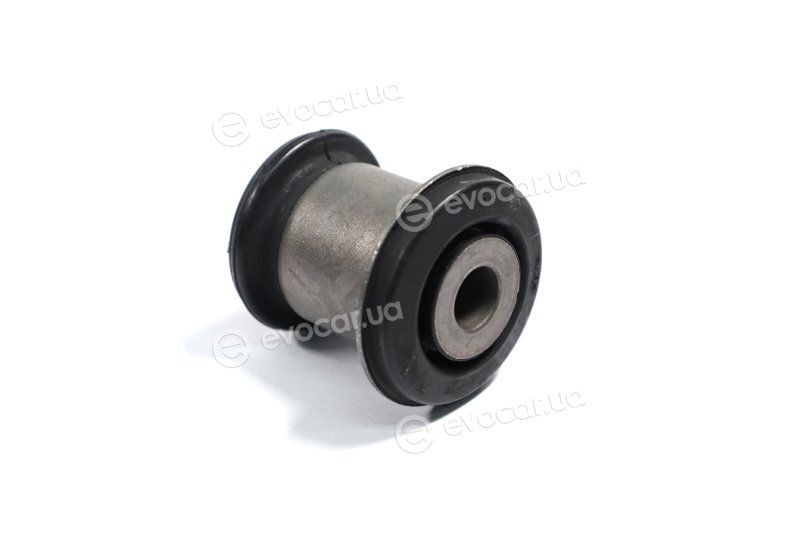 Sasic 2250024