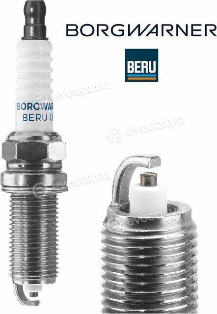 BorgWarner Z273