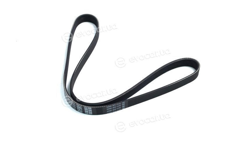 Dayco 6PK1141