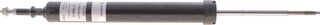 Sachs 313 933