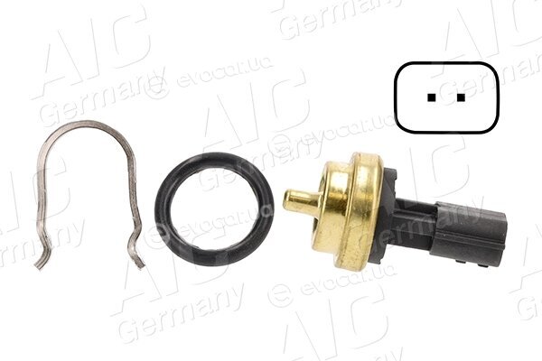 AIC 55131