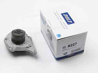 Dolz R227