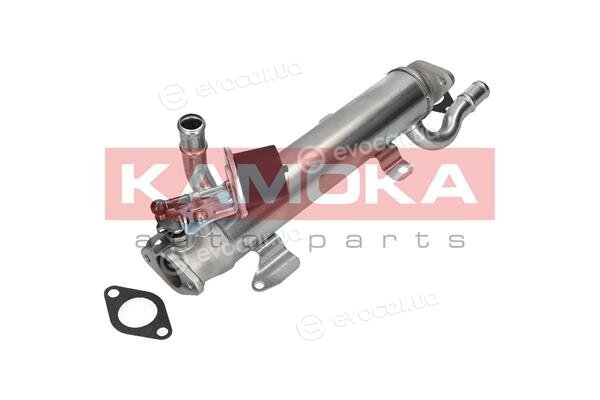 Kamoka 19074