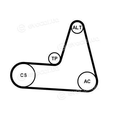 Continental 6PK1173K3