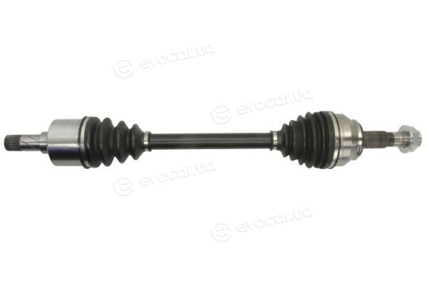 Pascal G2F038PC