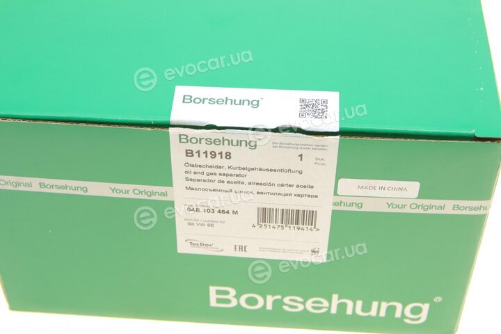 Borsehung B11918