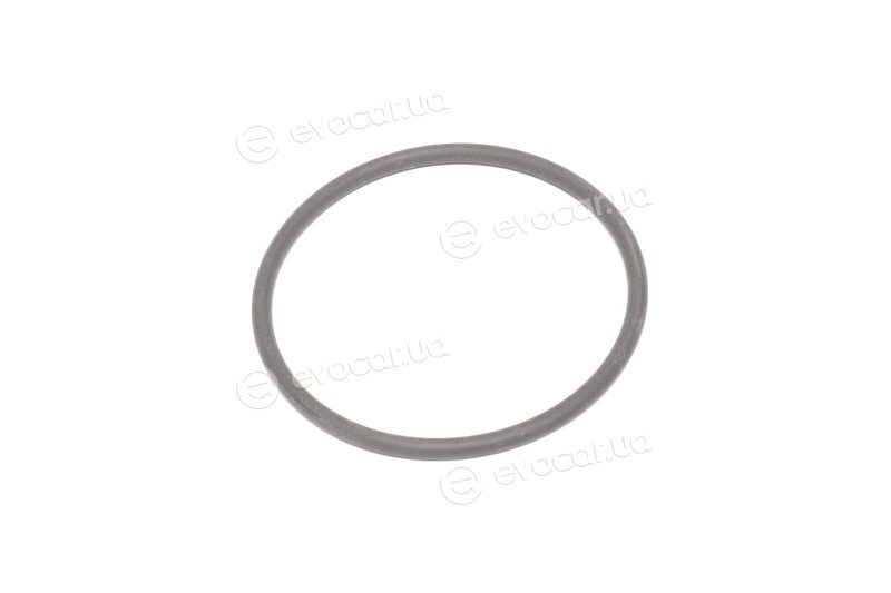 Elring 538.010