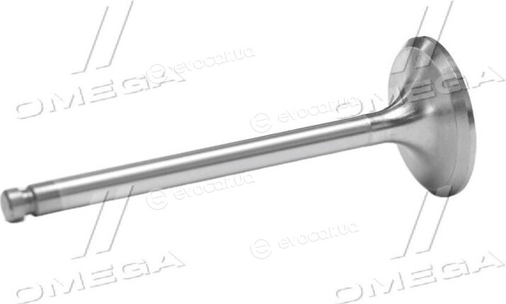 Gunes 3940