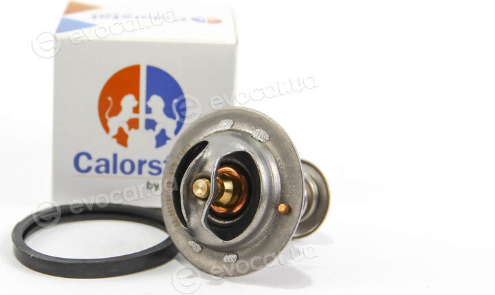 Vernet / Calorstat TH6295.82J