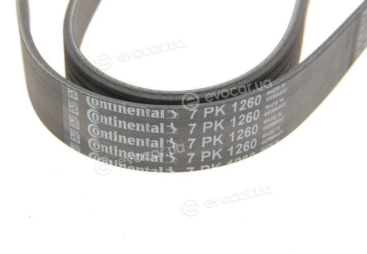 Continental 7PK1260