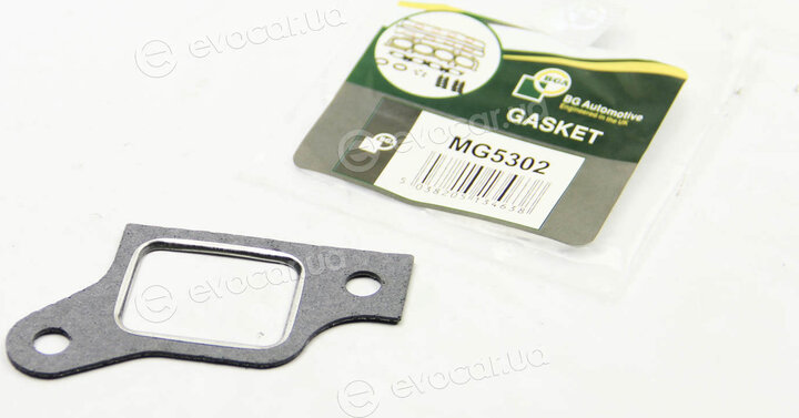 BGA MG5302