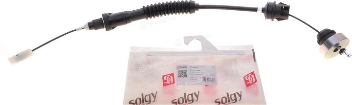 Solgy 118007