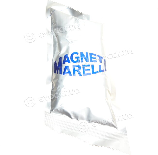 Magneti Marelli 302009100022
