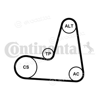 Continental 6PK1130K2