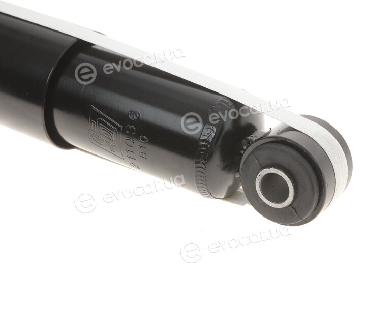Solgy 211036