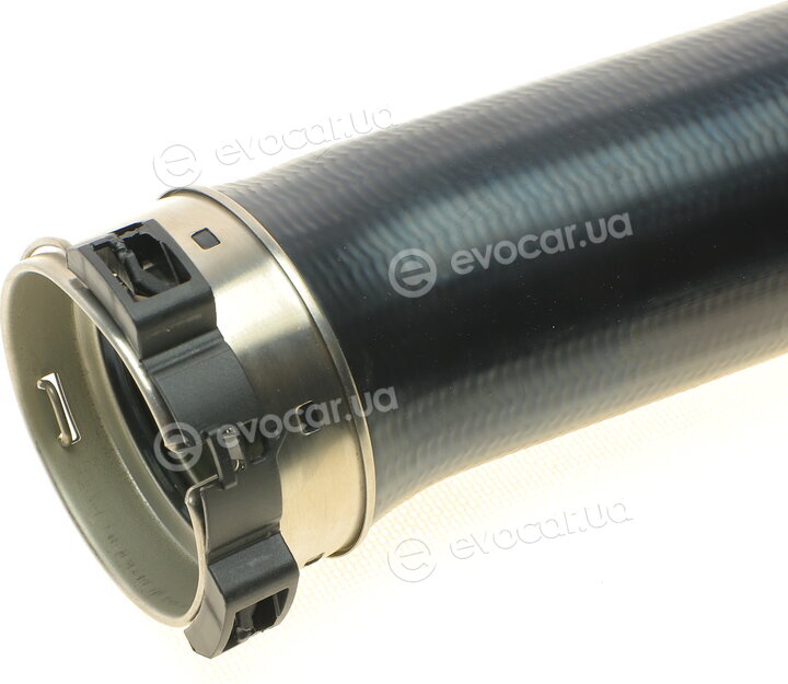 Solgy 114256