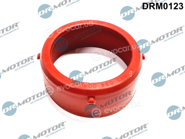 Dr. Motor DRM0123