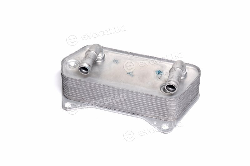 Van Wezel 58013701