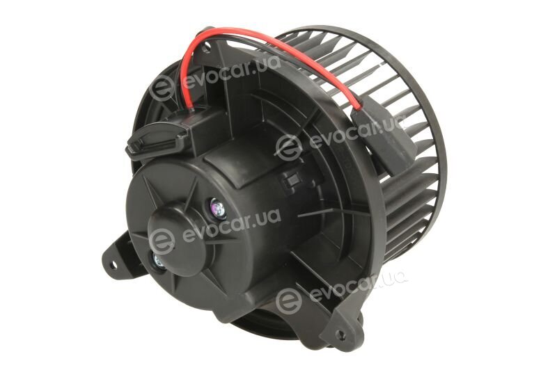 TYC 524-0001