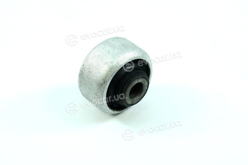 Sasic 2250012