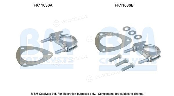 BM Catalysts FK11036