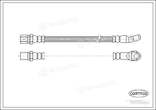 Corteco 19018480