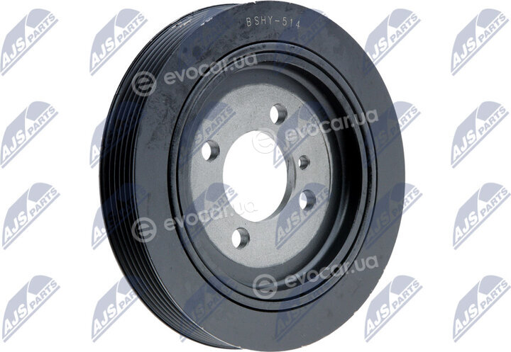 NTY RKP-HY-514