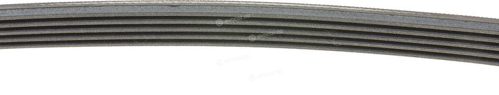 Continental 5PK875