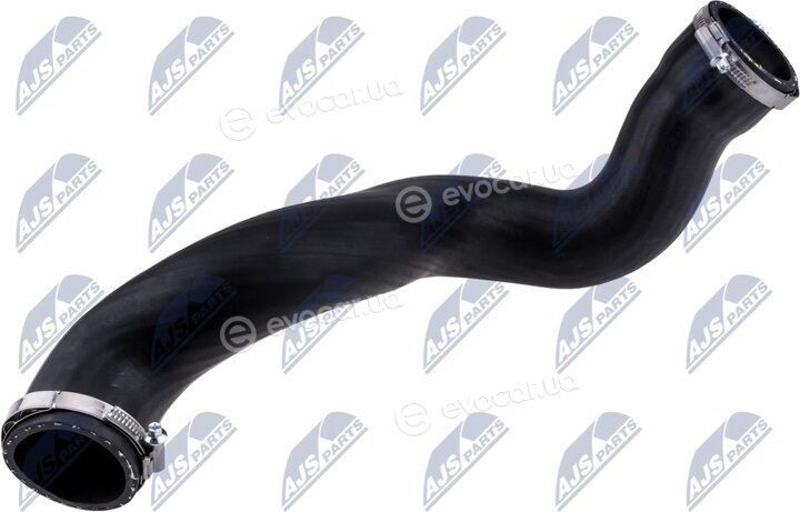 NTY GPP-VV-018