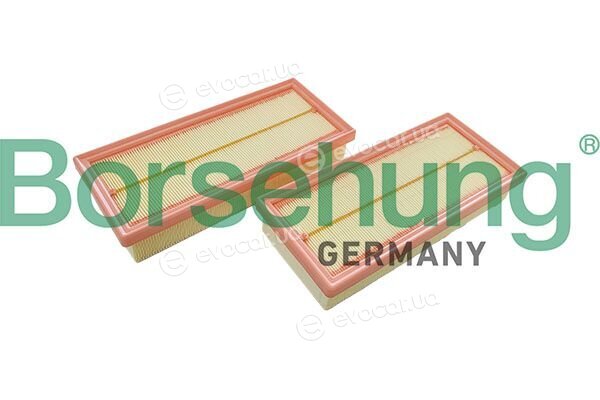 Borsehung B13058