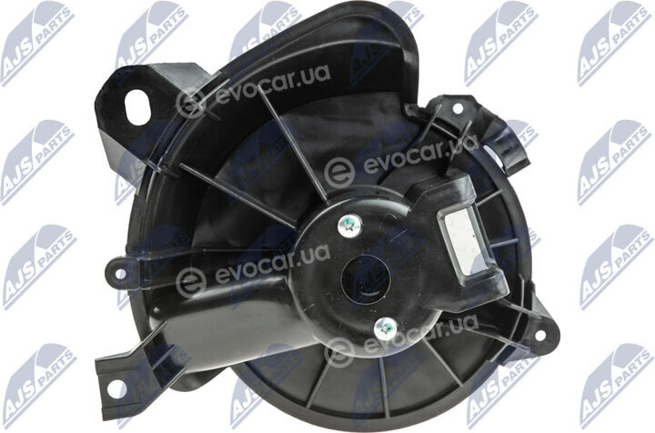 NTY EWN-PL-001