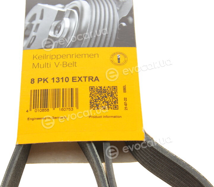 Continental 8PK1310 EXTRA