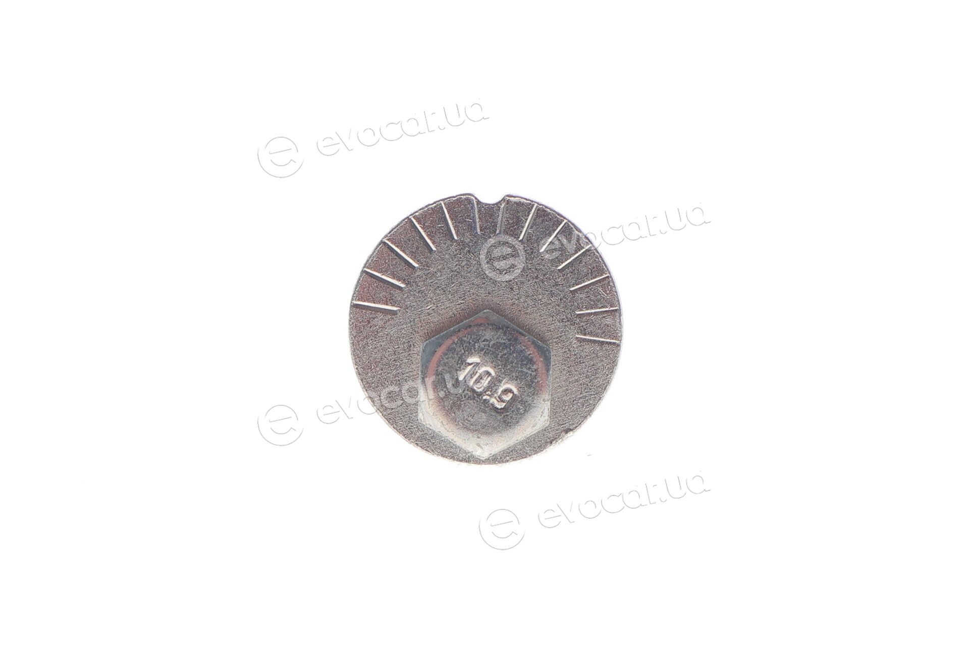 Solgy 204205