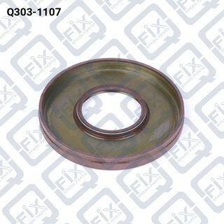 Q-Fix Q3031107