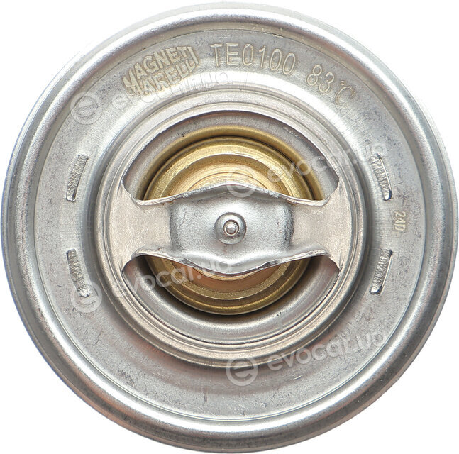 Magneti Marelli 352317101000