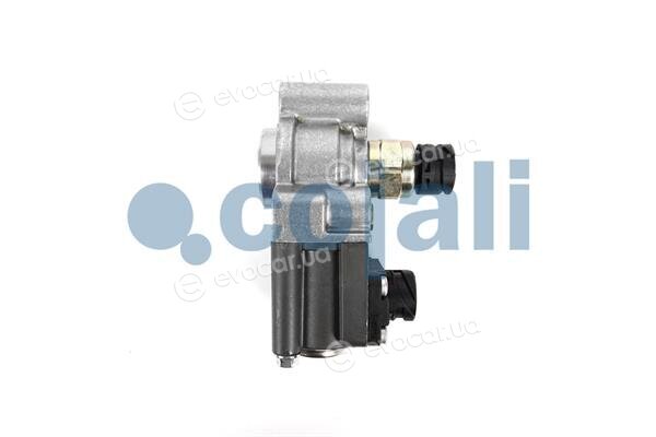 Cojali 2816001