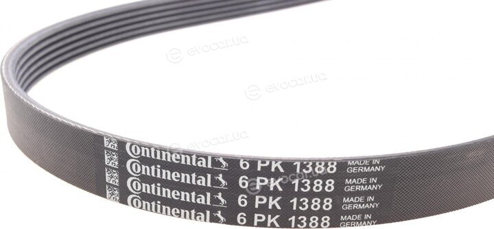 Continental 6PK1388